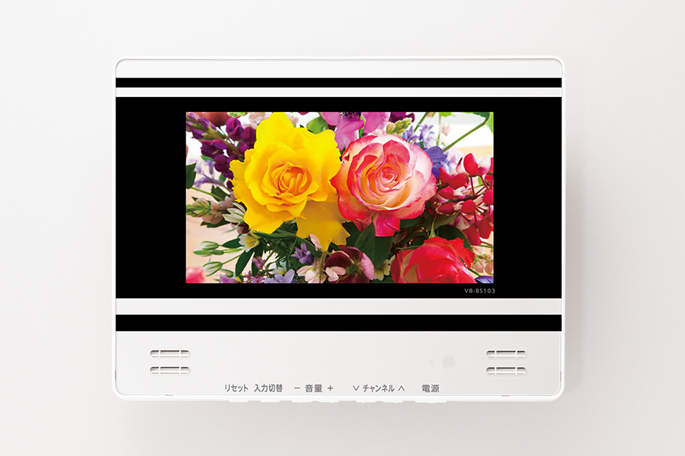 10V型