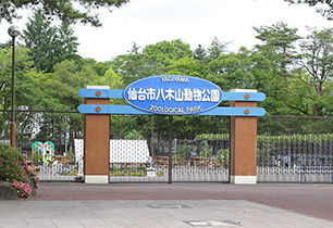仙台市八木山動物園
