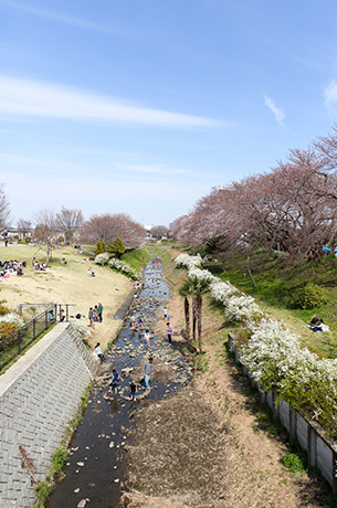 県立相模川公園