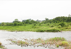 多摩川堤防