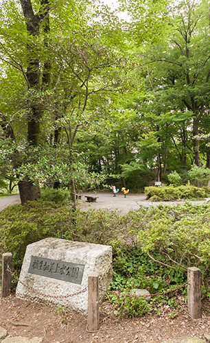 多摩川緑地福生加美上水公園