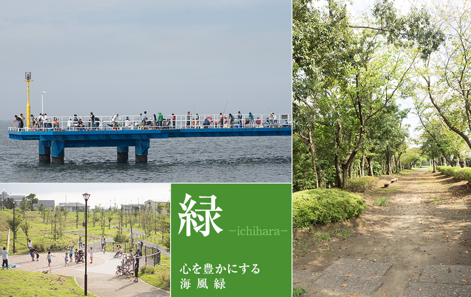 心を豊かにする市原の海・風・緑