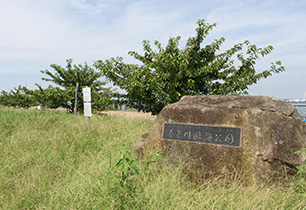 養老川臨海公園