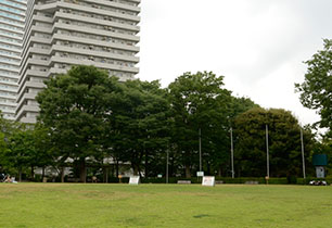 川口西公園