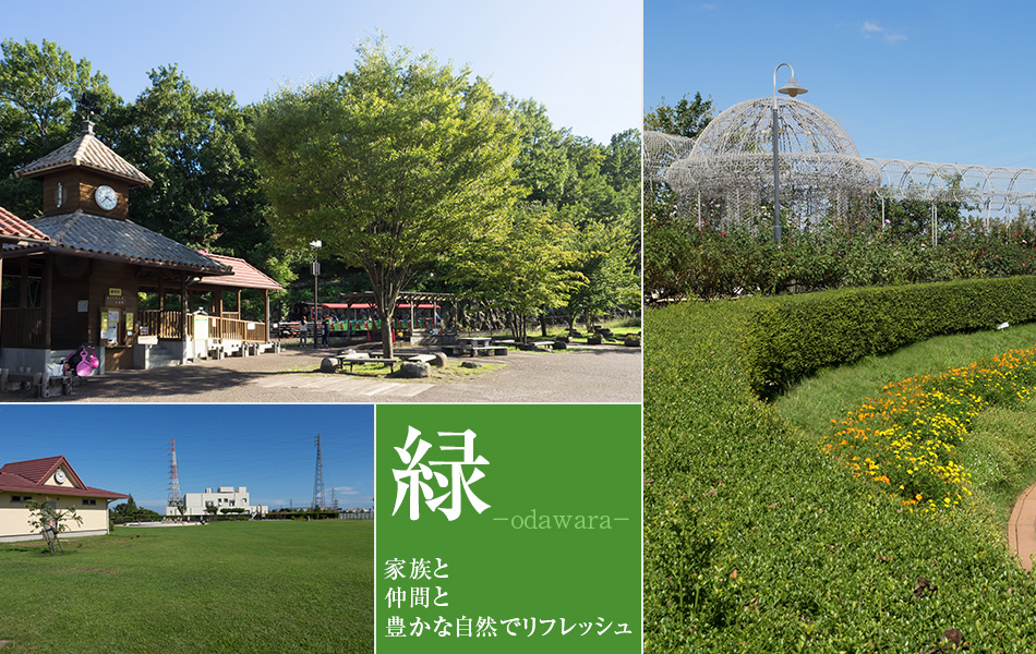 小田原の緑あふれる環境