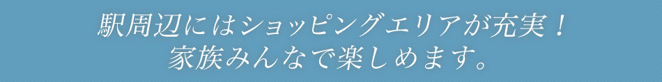 立川駅周辺はショッピングエリアが充実