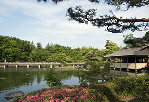 昭和記念公園　日本庭園