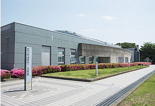 柴崎体育館