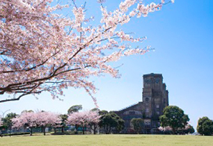 根岸森林公園