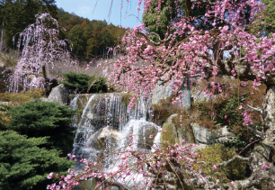 “奥山高原”