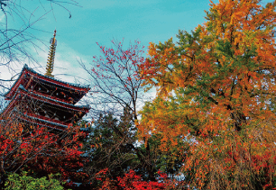 本土寺