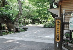 越谷アリタキ植物園