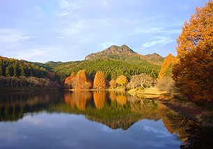 宇都宮市森林公園