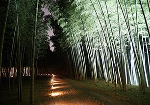 若山農場（たけのこ狩り）