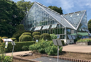 東京都薬用植物園