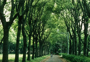 牛川遊歩公園