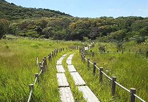 葦毛湿原（自然公園）