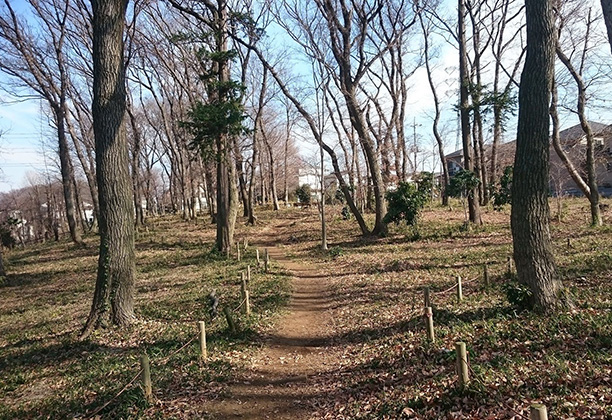 野寺三丁目保全緑地（愛称：野寺カタクリ山）