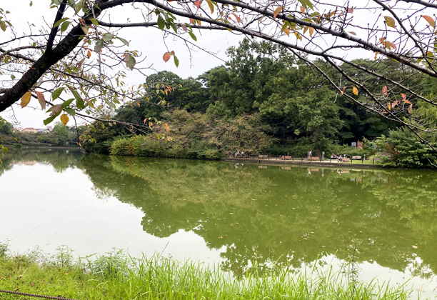 大宮公園