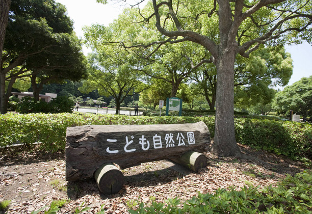 こども自然公園