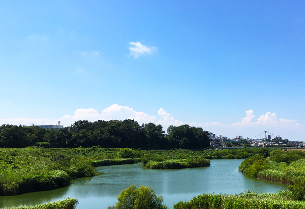 湘南台_境川遊水地公園