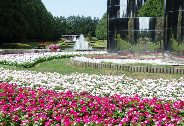 相模原市_神奈川県立相模原公園