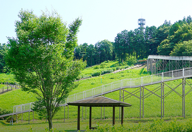 小田原市_おだわら諏訪の原公園