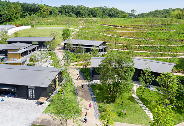 町田市_町田薬師池公園 四季彩の杜 薬師池